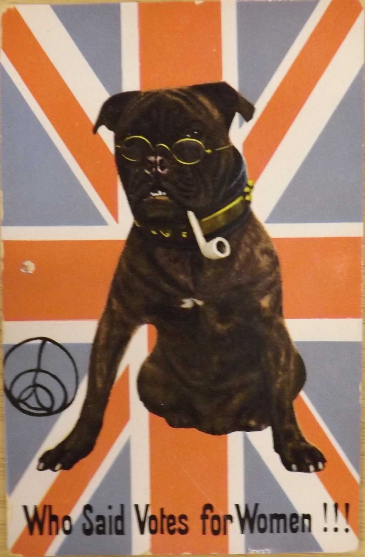 Political satirical card of the suffragette period - Bulldog smoking a pipe, on Union Jack background, with the caption 'Who said Votes for Women!!!'