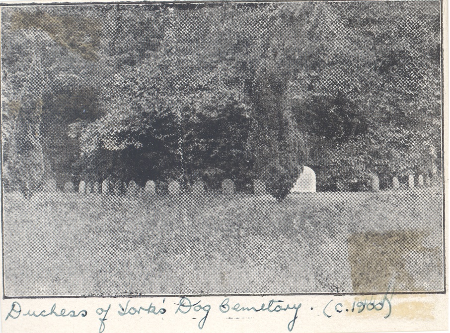 Black and white photograph of the Duchess of York's Dog Cemetery in the grounds of the Oatlands Estate, c.1900.
